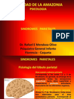 Sindromes Parietales