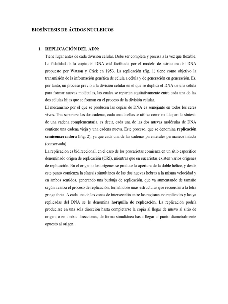 Biosíntesis de Ácidos Nucleicos | PDF | Rna | Replicación De Adn