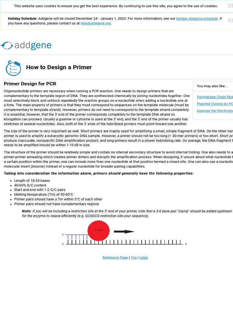 Addgene Protocol How To Design Primers PDF Primer (Molecular