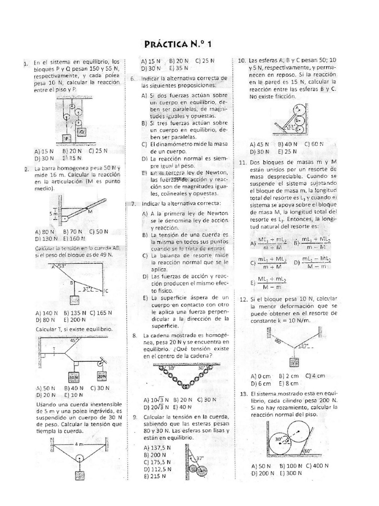 Scaneo Final | PDF