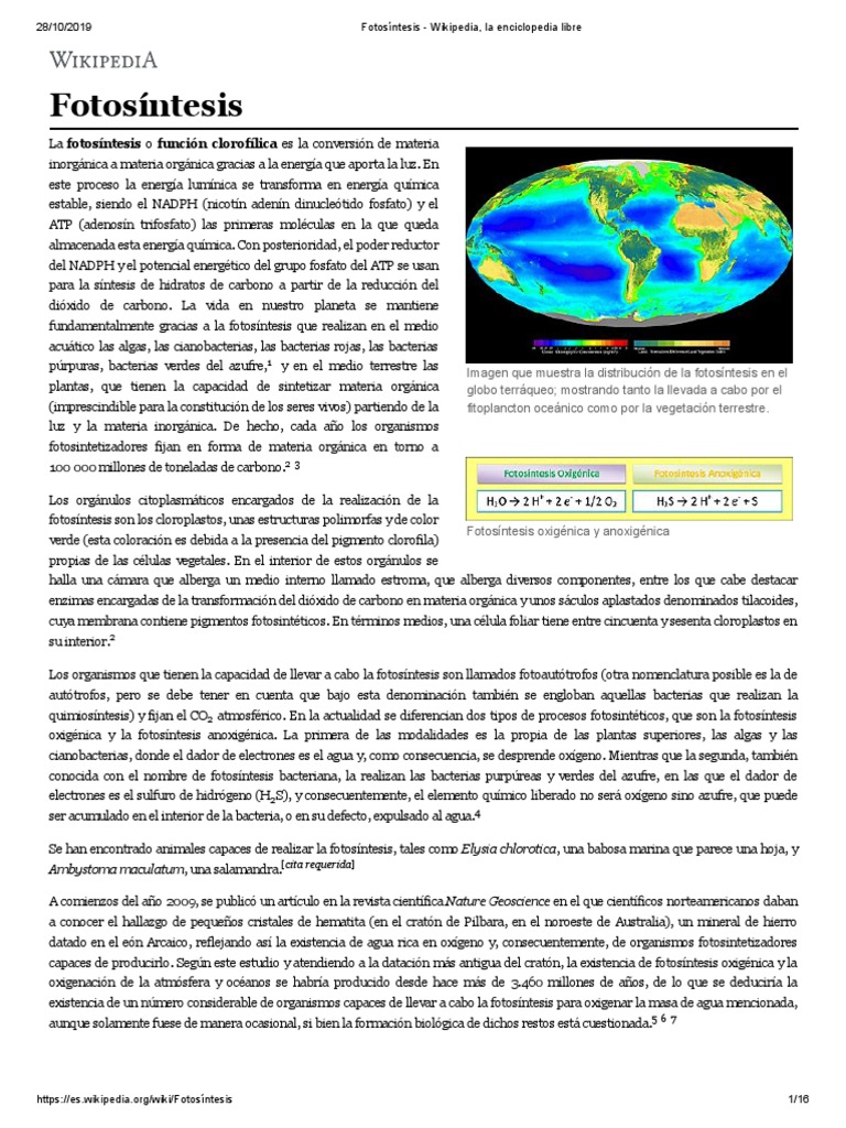 Sulfato de magnesio - Wikipedia, la enciclopedia libre