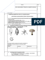 evaluare clasa 6