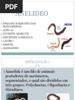 biologia-anelideos