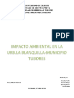 Impacto Ambiental 1