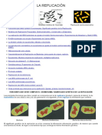 06-La replicación.pdf