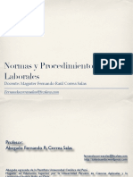 Normas y Procedimientos Laborales Casos PDF