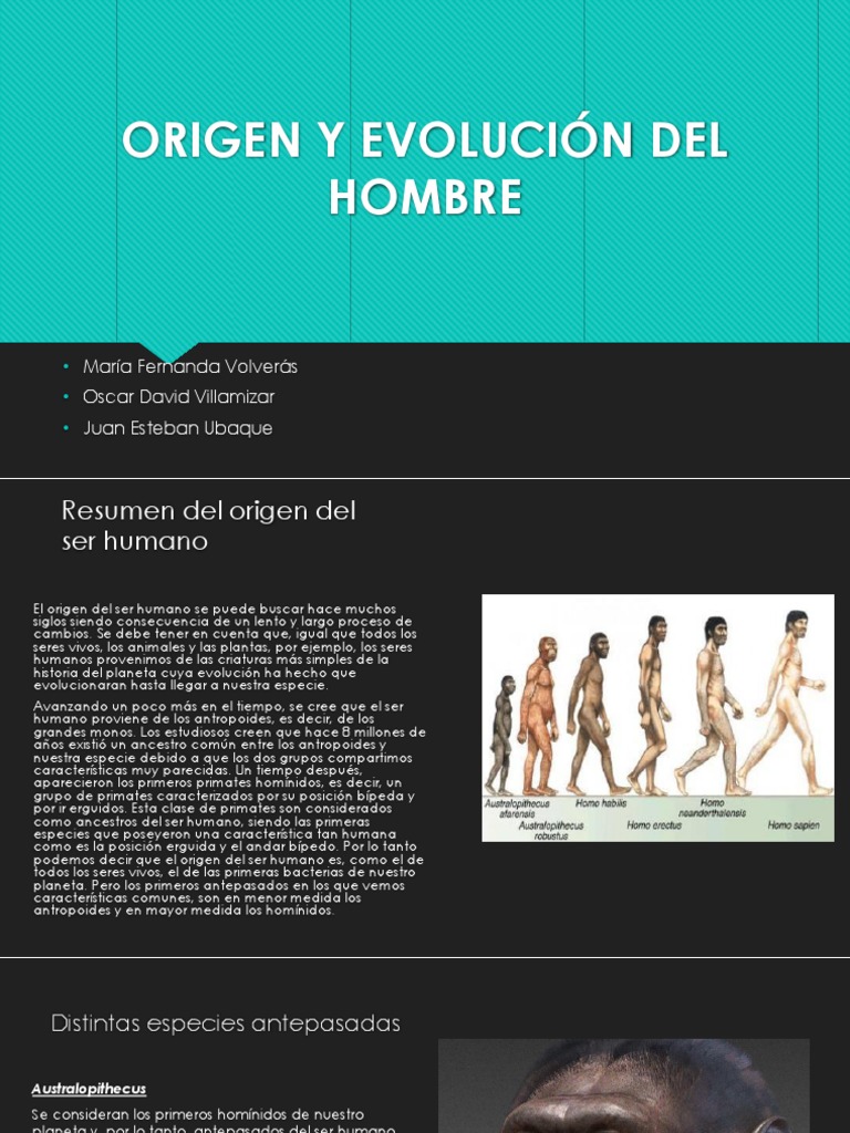 Ejemplo De La Evolucion Del Hombre