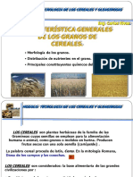 Características Generales de Los Granos de Cereales
