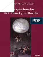 Bardo  y el Tunel y el .pdf