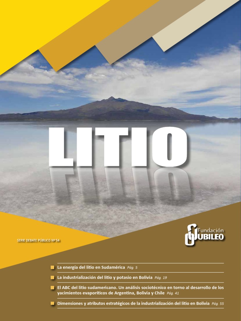 Litio en Sudamérica: Oportunidades y Desafíos | PDF | Coche | Argentina