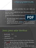 GIGITAN ULAR DAN PENATALAKSAAN.ppt