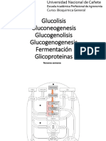 Clase IX - Bioquimica General 