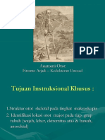 Anatomi PJKR 6 Musculi Et Articulatio Talocruralis 2018