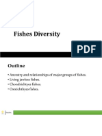 Fishes Diversity