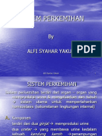 Sistem Perkemihan