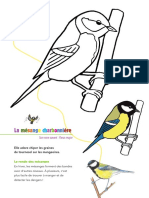 mesange charbonniere - coloriage