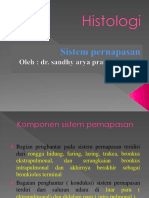 Histologi Pernapasan