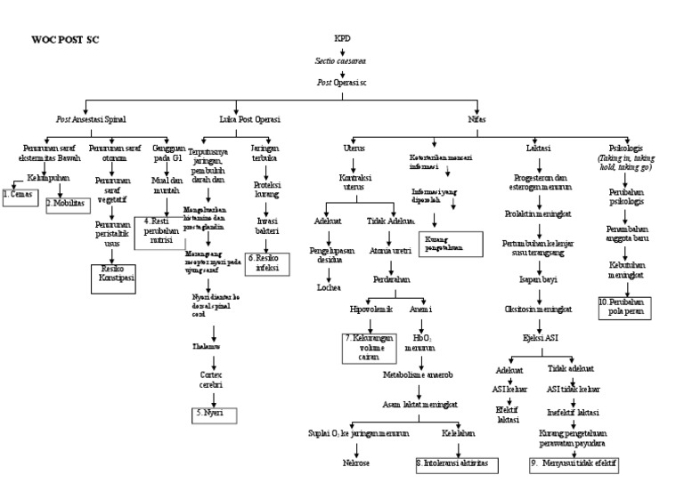 Pathway Risiko Infeksi Post Operasi SC | PDF