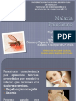 Malaria_o_Paludismo.pptx