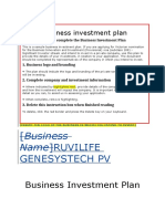 SIV Business Investment Plan Template