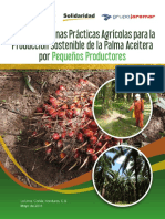 Manual Buenas Practicas PDF