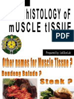 Histology of Muscle Tissue 2015