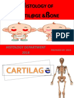 LECTUREcARTILAGE&bONE2018.pptx