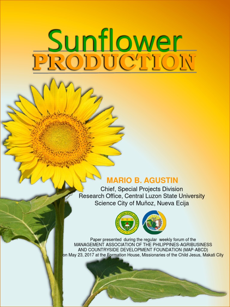 Economic Importance of Sunflower Production | PDF | Pollination ...