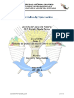 T1 - Factores de Producción - Ajo