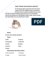 Budidaya Hewan Ternak Kesayangan Hamster