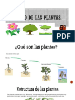 El Mundo de Las Plantas 2