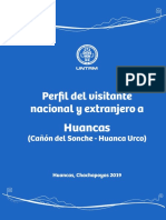 Perfil Del Visitante Huancas PDF