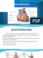 CT Sistem Kardiovaskuler
