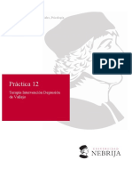 Practica Terapia Depresión Vallejo Amparo Puente