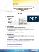 Bases Lev. Pesas 2019 II PDF