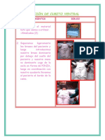 Posición de Cubito Ventral