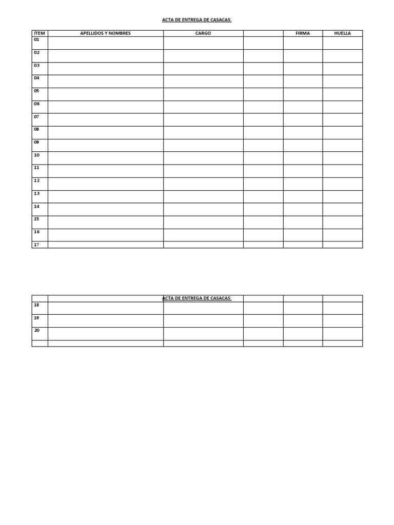FORMATO | PDF