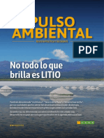 REVISTAPULSO_N10_LITIO-web.pdf