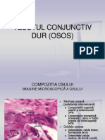 72177534-Tesutul-Conjunctiv-Dur-Osos.ppt