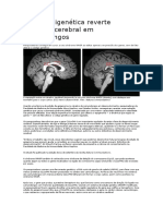 Edição Epigenética Reverte Distúrbio Cerebral em Camundongos