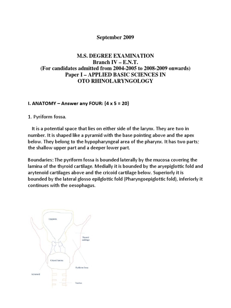 MS ENT Basic Sciences MGR University September 2009 Question Paper With