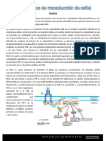 Cascadas Redacciones.pdf