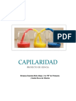 Capilaridad.docx