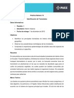 Práctica 15 - Identificación de Trematodos PDF