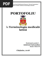 Portofoliu-lat (1).docx