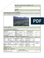Ficha de identificación de pasivo ambiental No 01 en La Gamio y Tácar