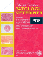 Juprak Patum Veteriner PDF