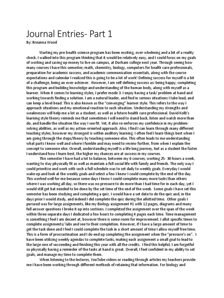 Journal Entries PDF Learning Styles Learning