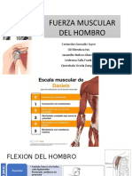 Fuerza-Muscular-Del-Hombro 1