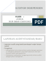 Laporan Audit